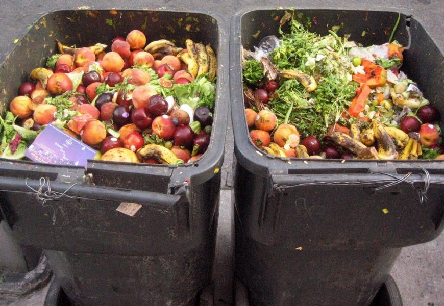 Risipa alimentară, marea problemă a românilor