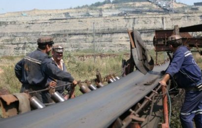 CE Oltenia, amendată de comisarii Gărzii de Mediu