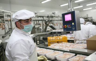 Firma care a preluat Avicola va deschide 76 de ferme de pui