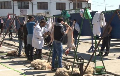 S-a deschis târgul de miei în Târgu Jiu