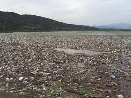 Actiune de ecologizare pe Jiu cu voluntari