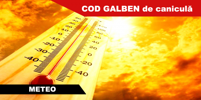 Cod galben de caniculă