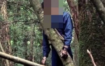 S-a spânzurat într-o pădure din Gorj!