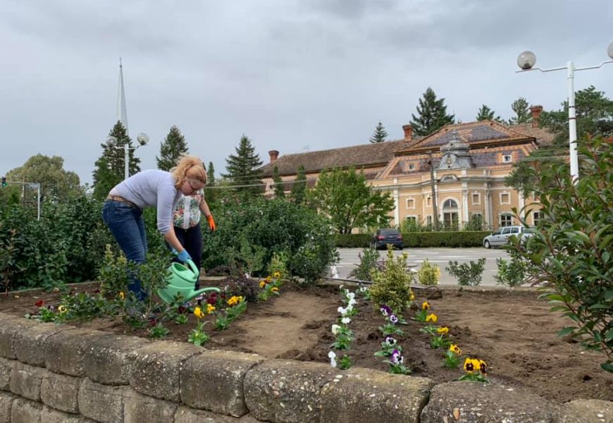 Și-a scos funcționarii din birouri ca să planteze flori