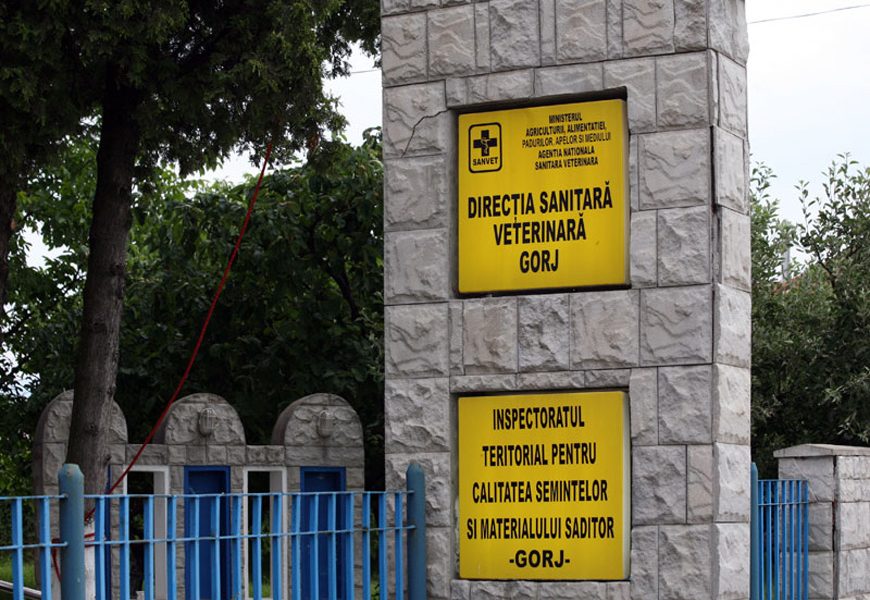 Tavan aproape picat într-un depozit alimentar! DSVSA Gorj a intervenit!