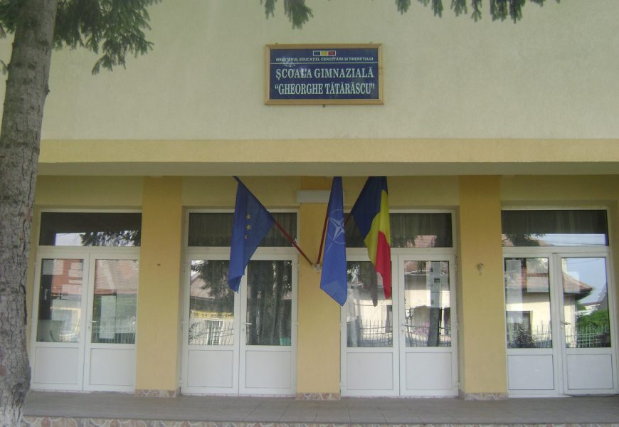 Directorul unei școli din Târgu Jiu, în izolare