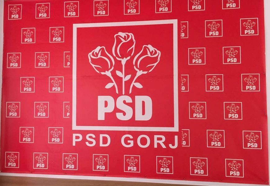 PSD Gorj are un nou vicepreședinte