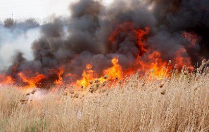 Gorj: 72 de incendii de vegetație în 3 zile