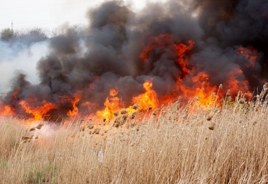 Gorj: Sute de hectare mistuite de flăcări