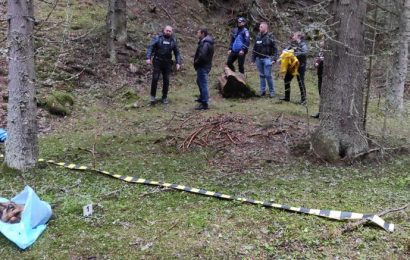 Peste 25 de câini uciși în Gorj