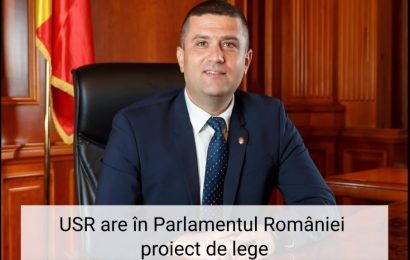 “Degeaba mințiți frumos, domnilor de la PSD-PNL’’