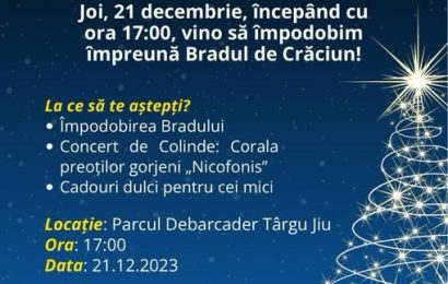 PNL Târgu Jiu, Împodobește bradul în Debarcader! 