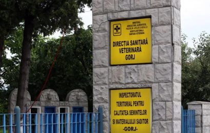 Controale efectuate de DSVSA Gorj! Au curs amenzile!