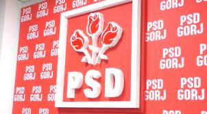 Cine va candida din partea PSD la Rovinari, Săcelu, Albeni și Schela