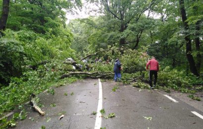 Cauza morții bărbatului de la Baia de Fier! IPJ Gorj informează! 