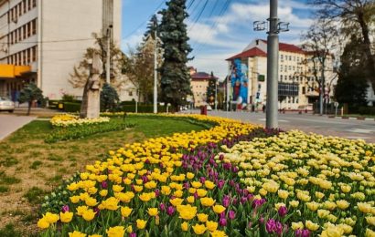 Târgu Jiul a prins culoare!