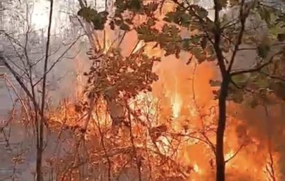 Incendiu puternic la Târgu Jiu 