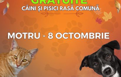 Se sterilizează GRATUIT câinii și pisicile, la Motru!