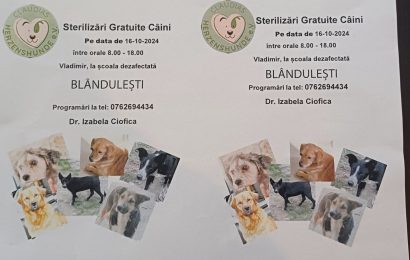 Campanie de sterilizare la Vladimir 