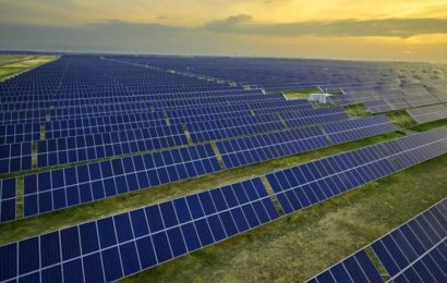 Cel mai mare parc fotovoltaic a fost deschis la Cărbunești