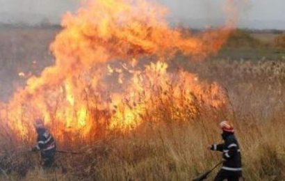 Incendii de vegetație în Gorj