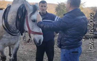 Video: Senatorul Iordache, la pas prin Gorj Video: Senatorul Iordache, la pas prin Gorj