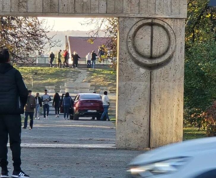 A intrat cu mașina în Parcul Central 