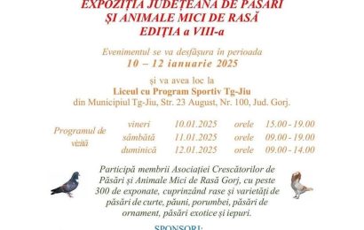 Expoziție la Târgu Jiu
