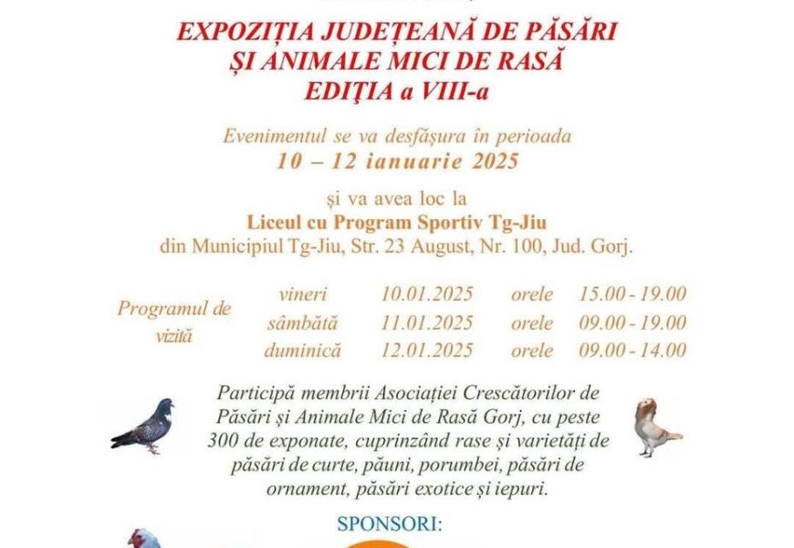 Expoziție la Târgu Jiu