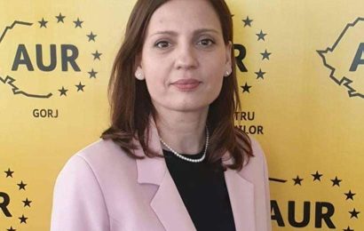 Declarațiile deputatului AUR Gorj după ce au fost furate piesele istorice din Olanda 