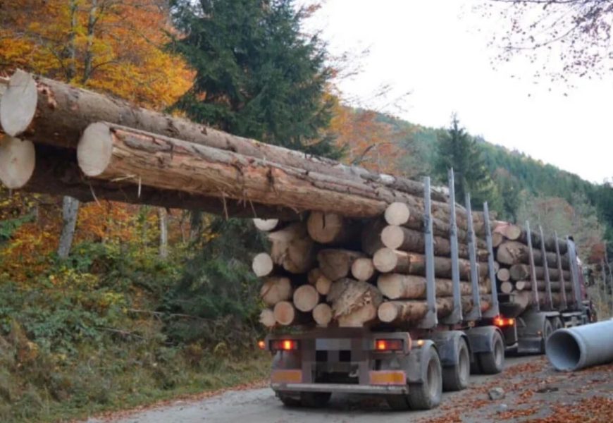 Transporta lemne ilegal 