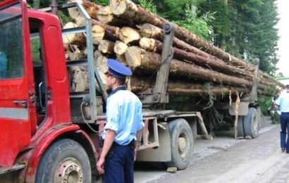 Dosar penal pentru un bărbat din Gorj 