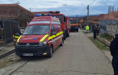 Incendiu puternic la Dobrița 