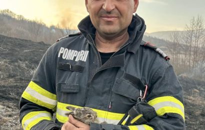 Pompierii gorjeni au salvat mai mulți iepurași din flăcări 