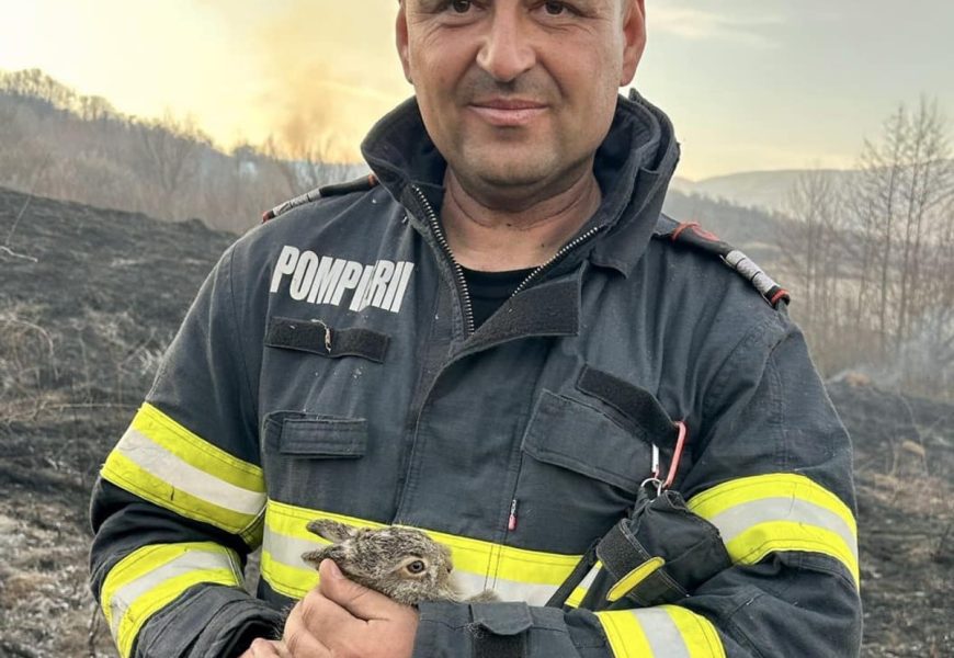 Pompierii gorjeni au salvat mai mulți iepurași din flăcări 