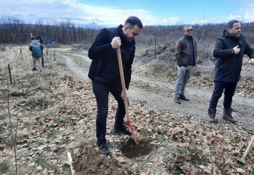 Subprefectul de Gorj, la plantat de copaci Subprefectul de Gorj, la plantat de copaci
