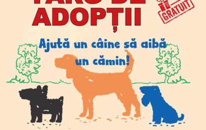 Câinii fără stăpân vor putea fi adoptați la Motru