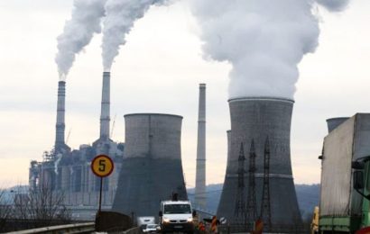 Ce spune Ionelia Priescu despre închiderea Termocentralei de la Rovinari 