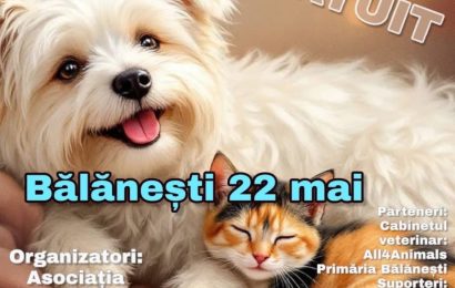 Se sterilizează și microcipează gratuit câinii la Bălănești