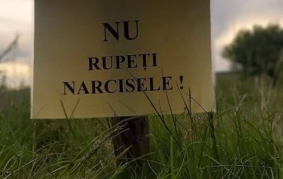 Vor supraveghea evenimentele din perioada următoare