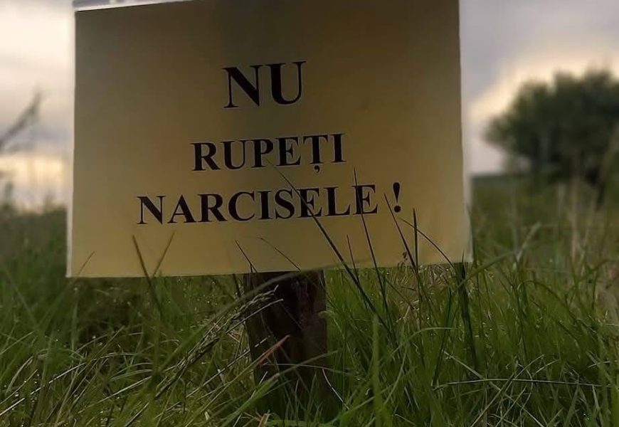 Vor supraveghea evenimentele din perioada următoare
